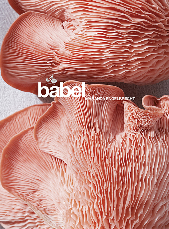 Babel Book Eng cover