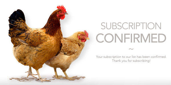 subscription-confirmed
