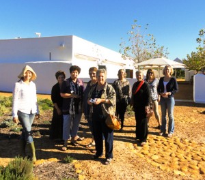 garden tour babylonstoren