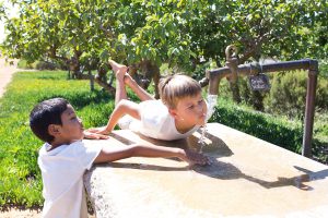 kids activities cape town 1