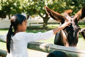 kids activities cape town 2