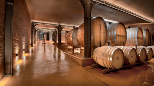 babylonstoren-cellar-tour-wine-winemaking-wine-tunnel-capewinelands