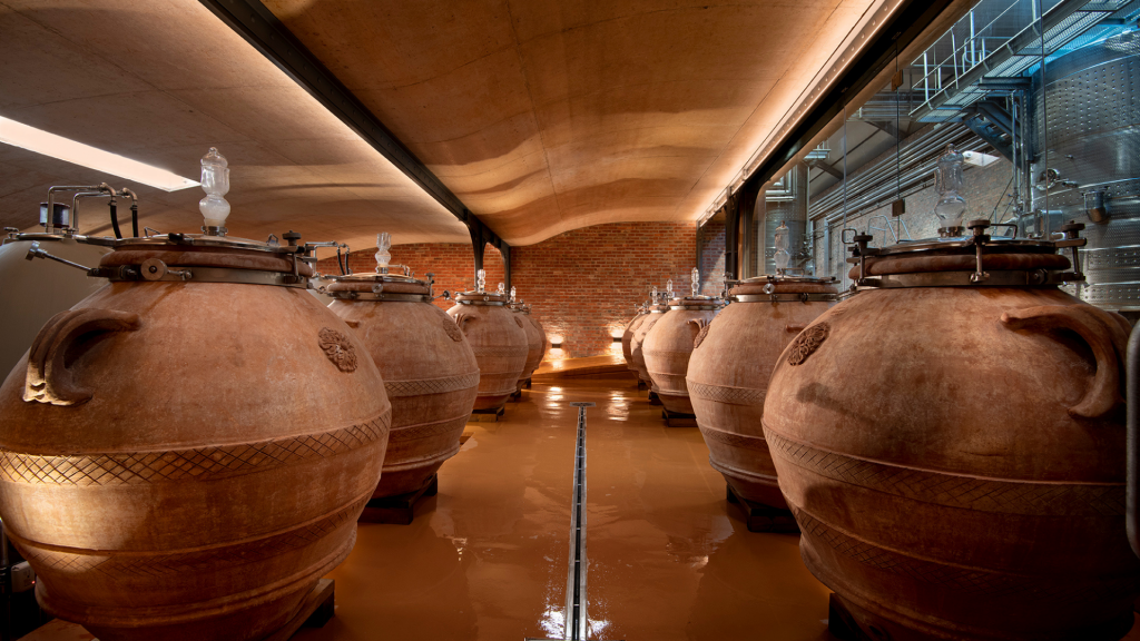 babylonstoren-cellar-tour-wine-winemaking-wine-tunnel-cape-winelands-cape-town-wine-history