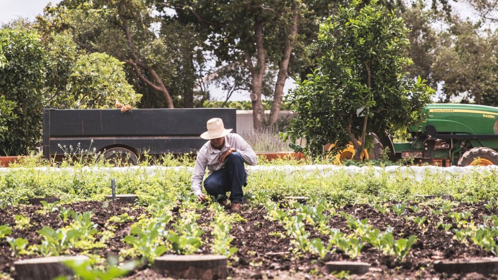 babylonstoren-workshops-2021-cape-winelands-cape-town-franschhoek-south-africa-things-to-do-in-franschhoek-beekeeping-gardening-learn-how-to-garden