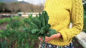 How to start your own vegetable garden