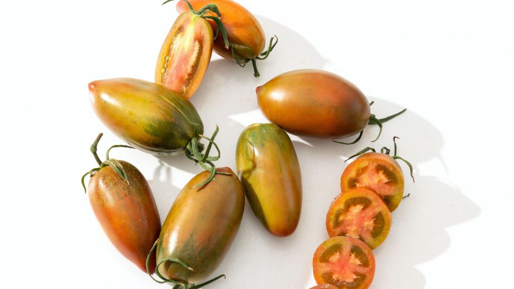 heirloom-tomatoes-at-babylonstoren-nursery-tunnels-garden-life-gardening-tomato-franschhoek-cape-winelands-black-icicle