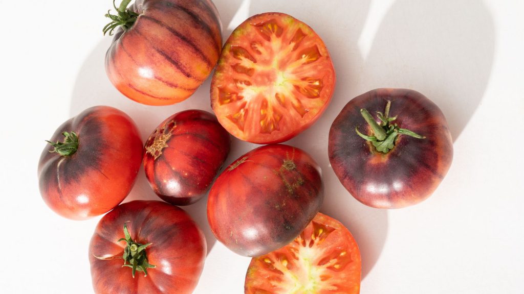 heirloom-tomatoes-at-babylonstoren-nursery-tunnels-garden-life-gardening-tomato-franschhoek-cape-winelands-blue-beauty