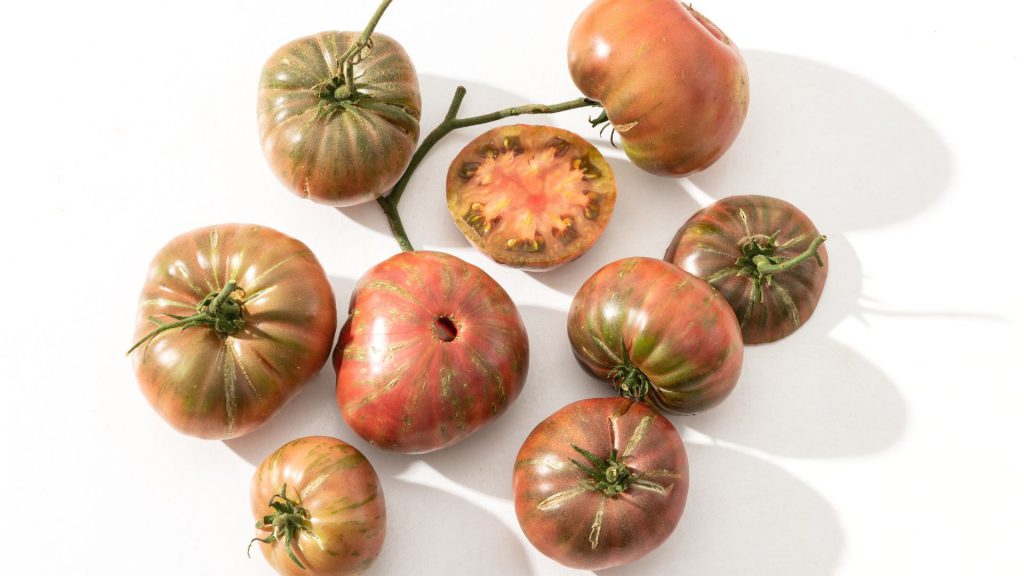 heirloom-tomatoes-at-babylonstoren-nursery-tunnels-garden-life-gardening-tomato-franschhoek-cape-winelands-chocolate-stripes-heirloom-tomato
