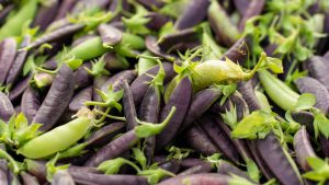 Babylonstoren spring peas