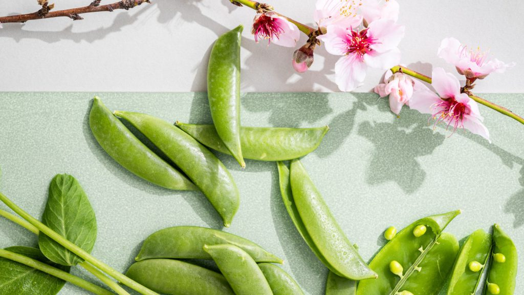 babylonstoren-garden-gardening-garden-life-spring-peas-heirloom-peas-speciality-grower-nursery-tunnels-garden-to-table-farm-to-fork-sugar-snap-peas-nairobi-peas-purple-peas