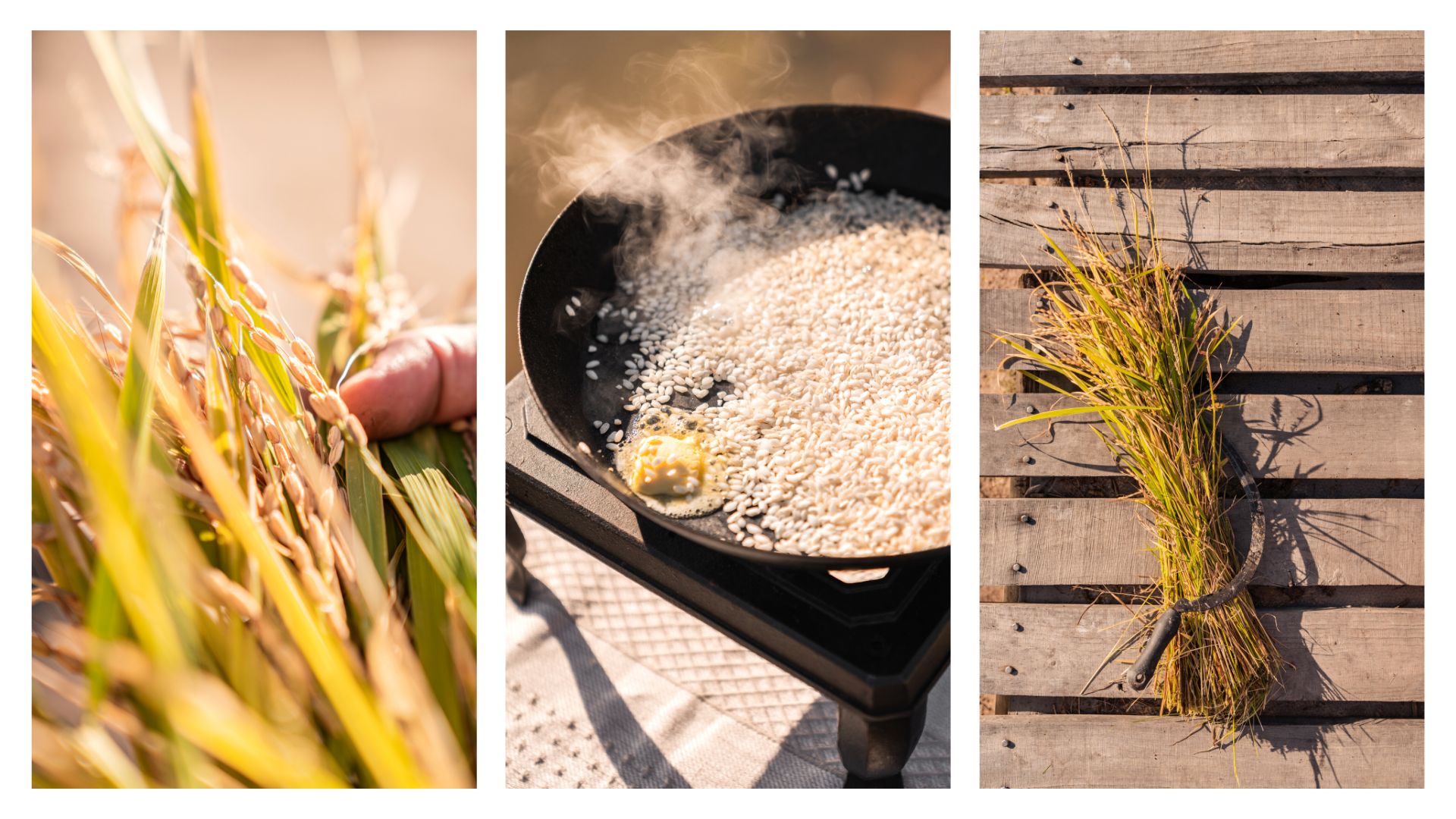 How-to-make-the-best-creamiest-risotto - Babylonstoren Blog