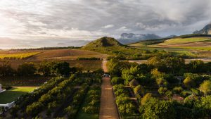 What's happening in the Babylonstoren garden in June