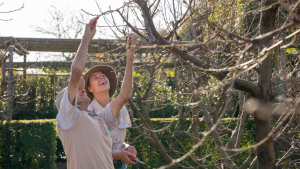 What's happening at Babylonstoren in July