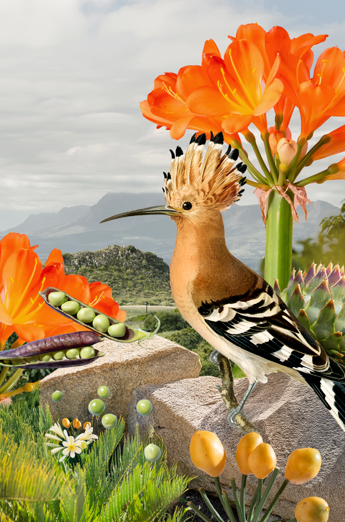 September 2 Spring What’s on in September? | Babylonstoren