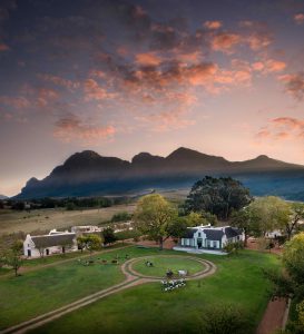 A historic Cape Dutch farmyard with an ox wagon circling the farmyard, photographed at dusk. Simonsberg rises majestically in the background.