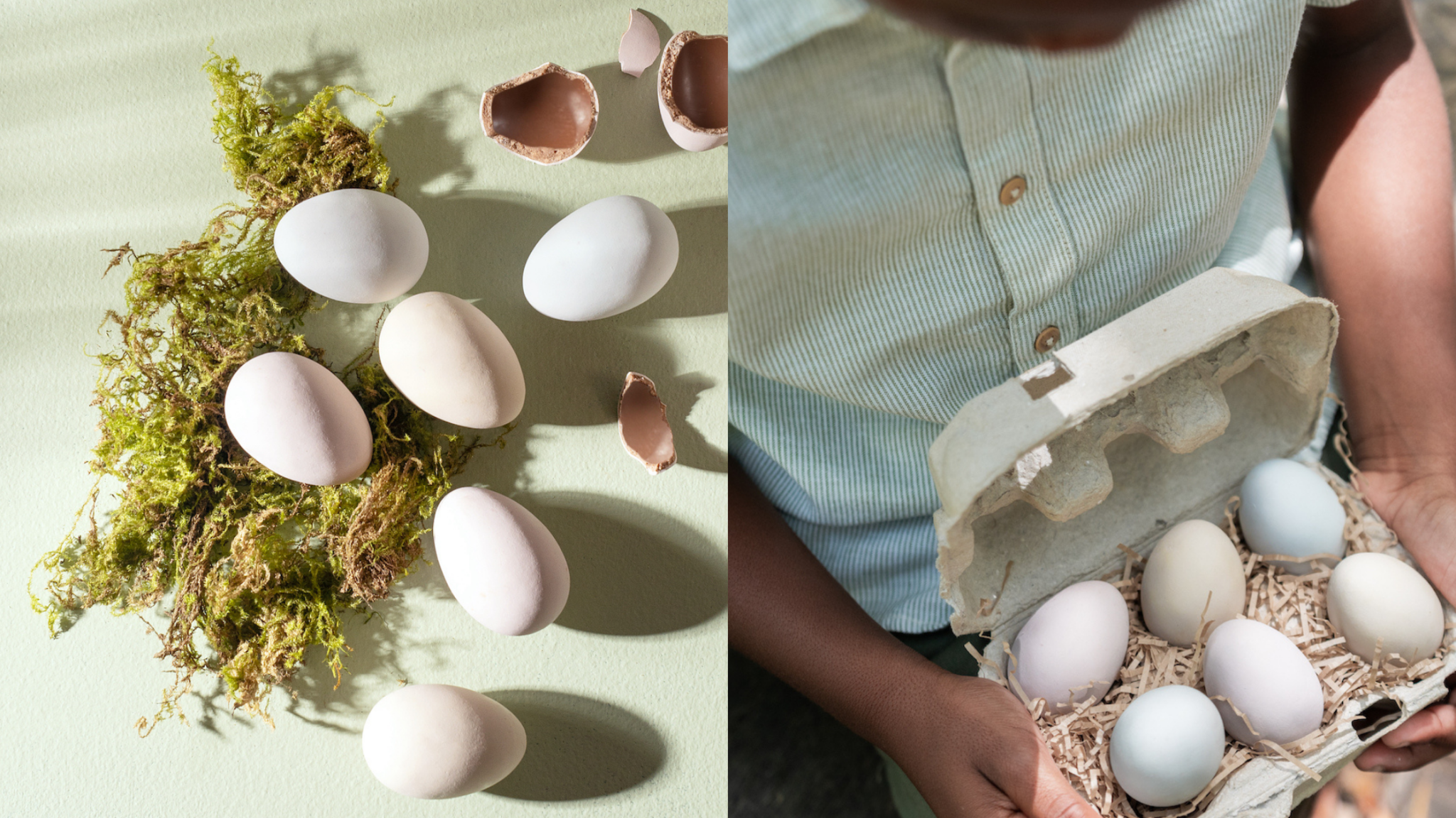 What’s on in March? | Babylonstoren