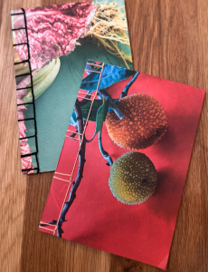 Two beautiful hand-bound journals featuring decorative stitching.