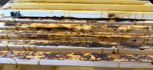 A wooden frame with a burnt surface

AI-generated content may be incorrect., Picture
