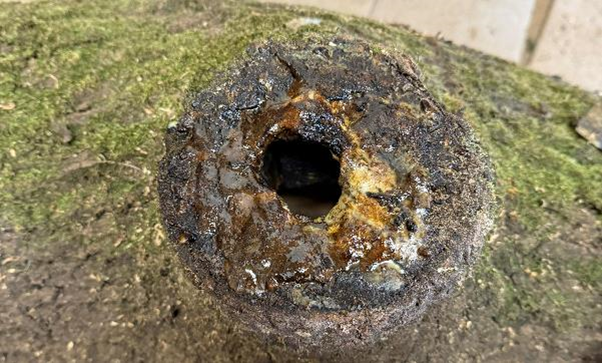 A tree stump with a hole in it

AI-generated content may be incorrect., Picture